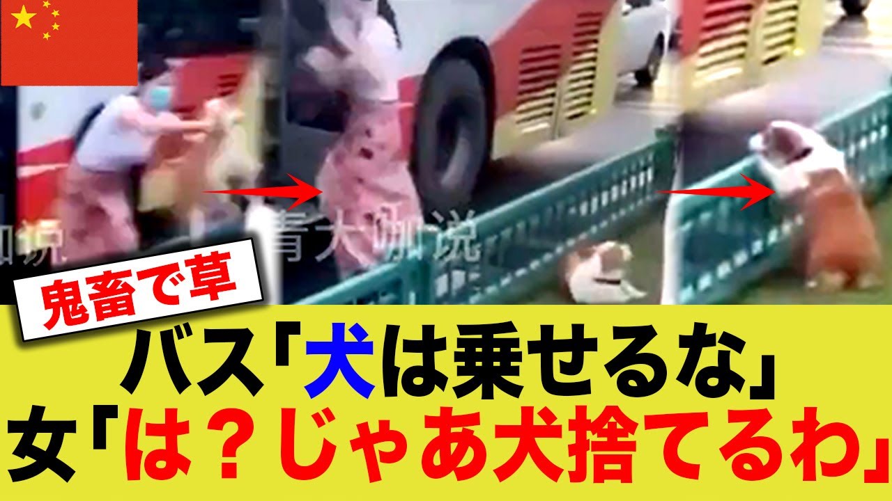 【悲報】中国女「犬がいるとバス乗れない？💢じゃあ、もうこれいらない！💢ﾎﾟｲｯ」