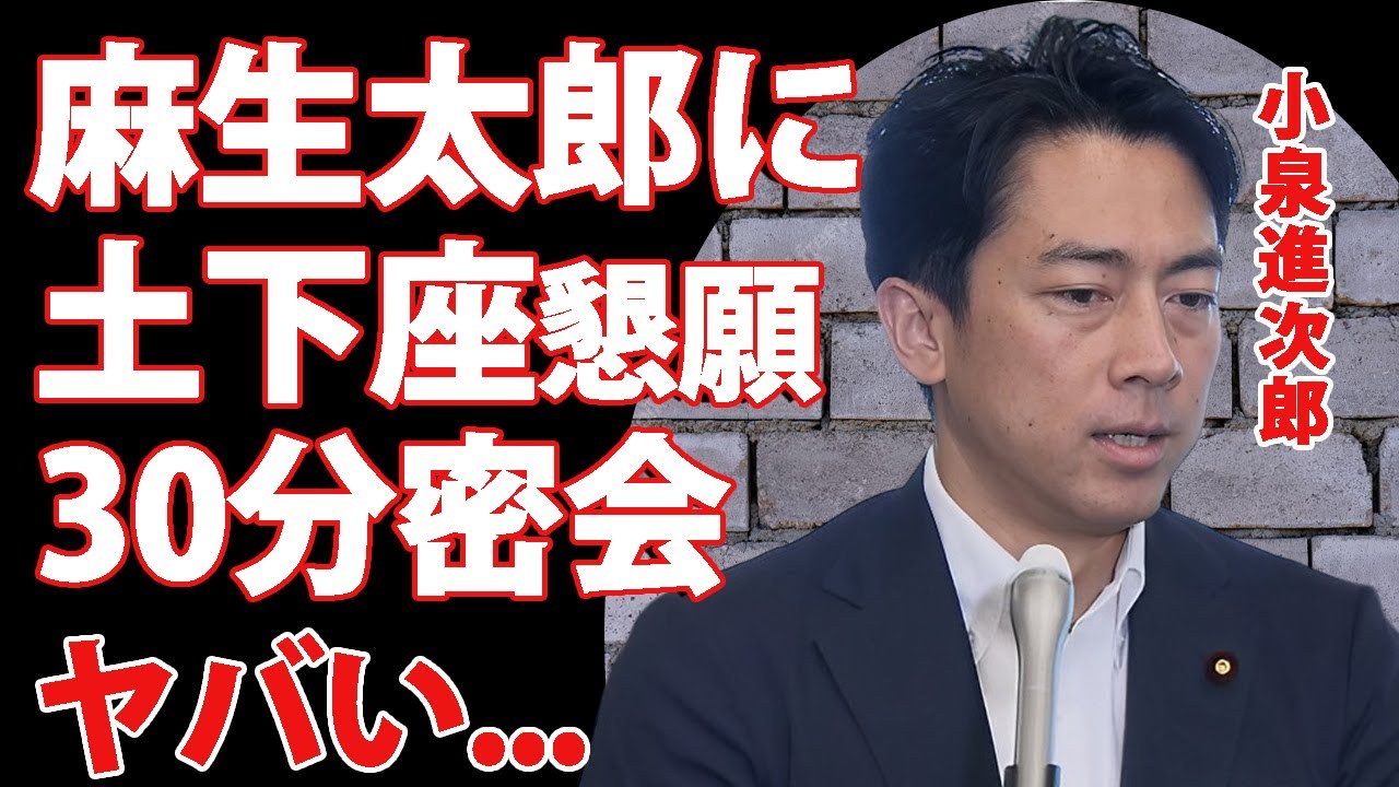 小泉進次郎が"麻生太郎"に土下座懇願の３０分の面会...最大派閥の麻生派に"決選投票"に向けてお願いした真相に言葉を失う...『総裁選』のキングメーカー麻生太郎が後押しする政治家がヤバい...
