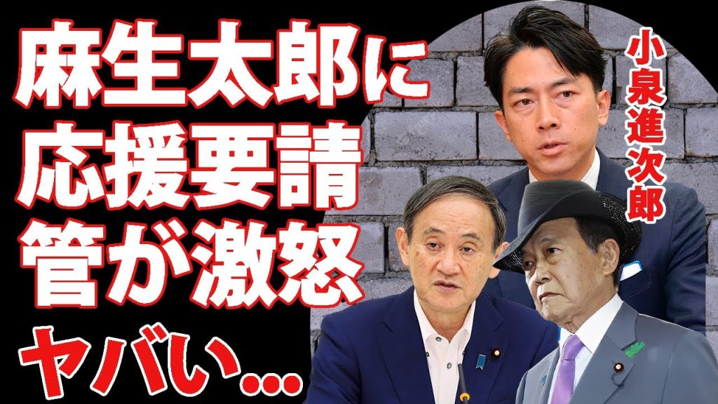 小泉進次郎の"麻生太郎"への"応援要請"に菅義偉がブチギレ...反目の派閥への裏切り行為に驚きを隠せない...『次期総理大臣』の八方美人すぎる奇行がヤバすぎた...