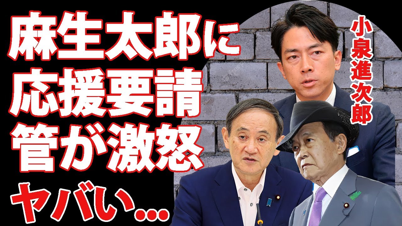 小泉進次郎の"麻生太郎"への"応援要請"に菅義偉がブチギレ...反目の派閥への裏切り行為に驚きを隠せない...『次期総理大臣』の八方美人すぎる奇行がヤバすぎた...