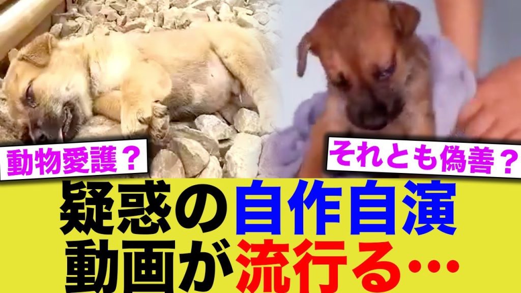 【悲報】疑惑の自作自演動画が流行る…