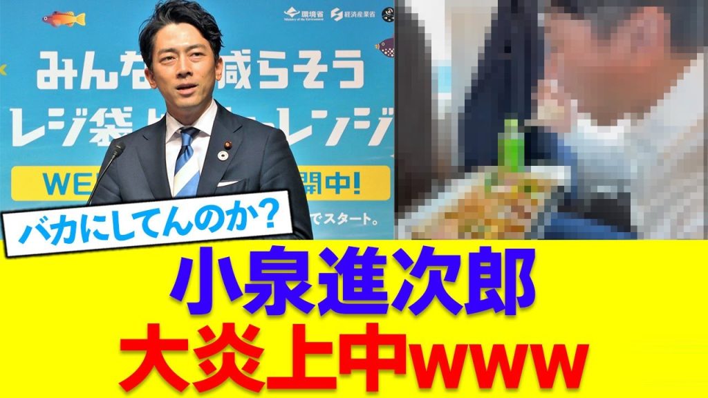 小泉進次郎、大炎上中wwwww