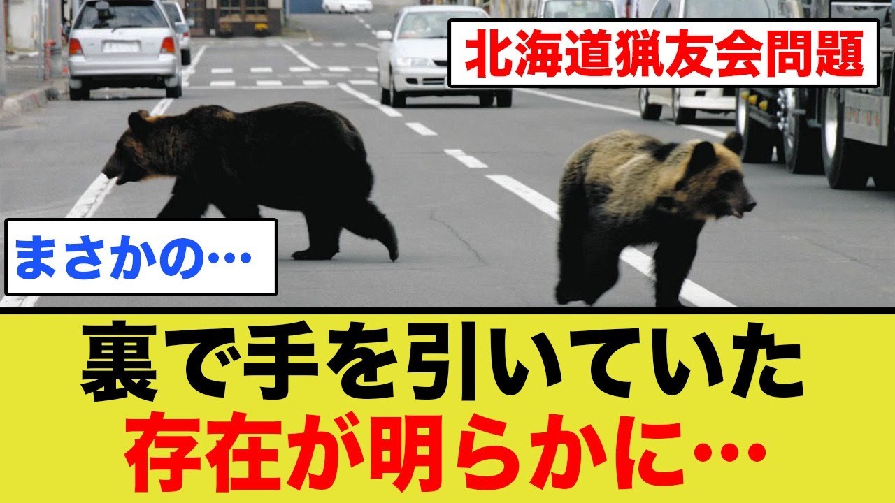 北海道猟友会がヒグマ駆除を拒否した問題で、裏で手を引いていた存在が明らかに…