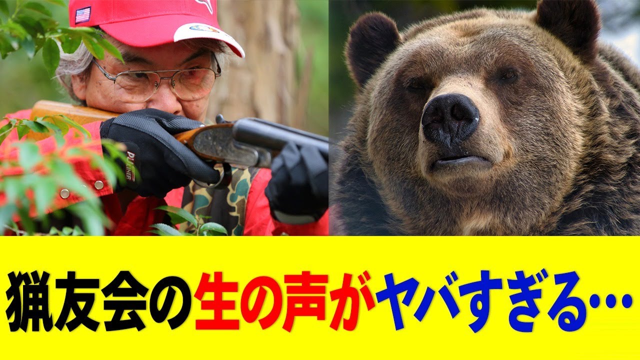 北海道のヒグマ駆除問題が深刻化！報酬5000円以下の現実に批判殺到