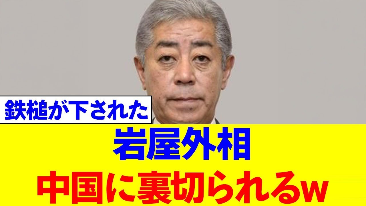 【朗報】岩屋外相、中国に売られお先真っ暗w