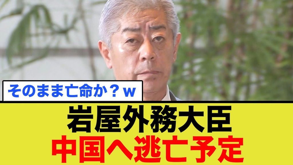 岩屋外務大臣、賄賂がバレてC国へとんずら予定ww