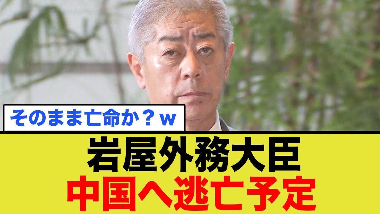 岩屋外務大臣、賄賂がバレてC国へとんずら予定ww
