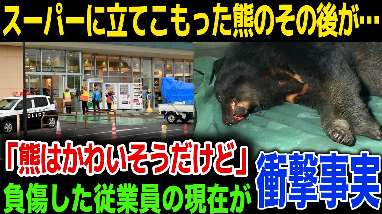 【熊被害】秋田県のスーパーに立て籠った熊のその後が…警察官との壮絶な戦いが終結…！被害にあった男性従業員の現在、損害金額が…！