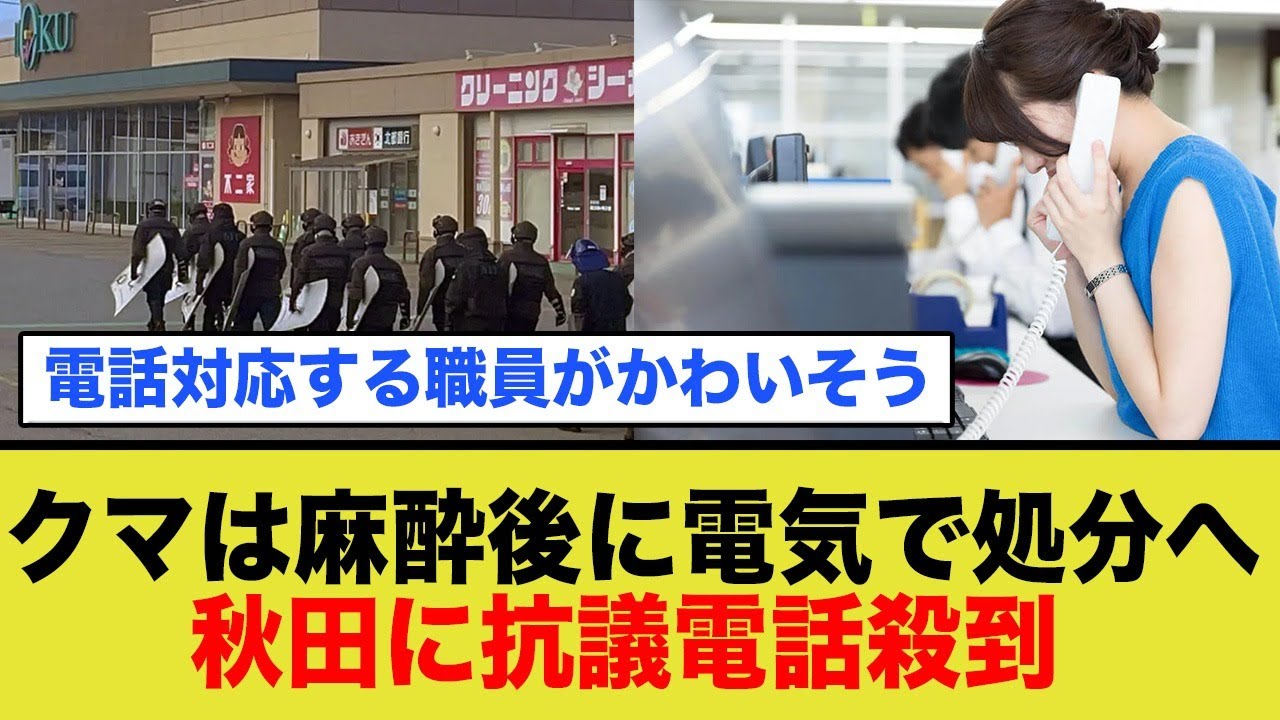 「クマを電気処分しました」←秋田に抗議の電話が殺到w
