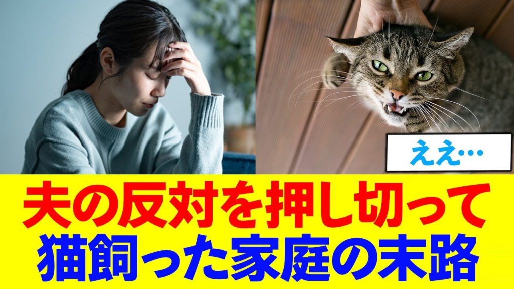 夫の反対を押し切った猫を飼った結果、どんでもない事態に...
