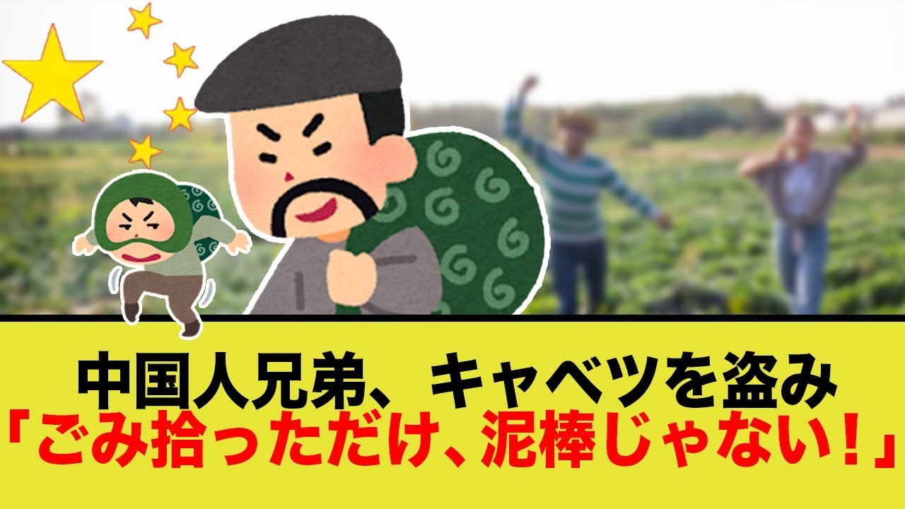 C国人、盗難したキャベツを「ゴミ」扱いし炎上ww