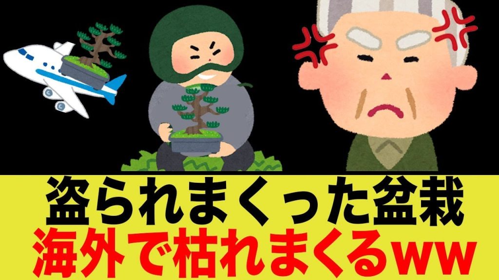 【盗難】外人に盆栽が盗まれ、海外で転売される…
