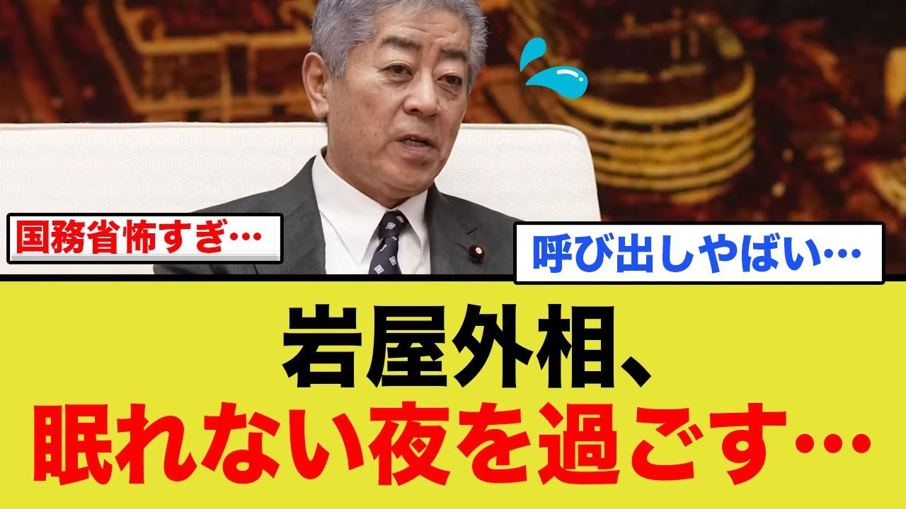 岩屋外相、アメリカ行きに本当はビクビク…