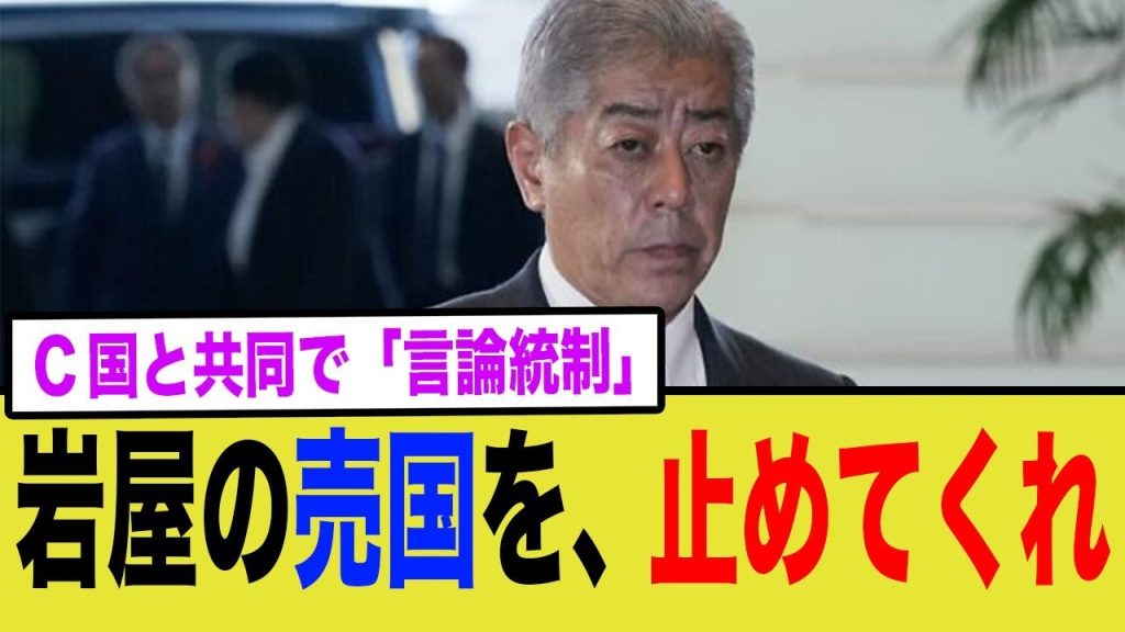 【悲報】岩屋外務大臣がまた日本を安売りする。