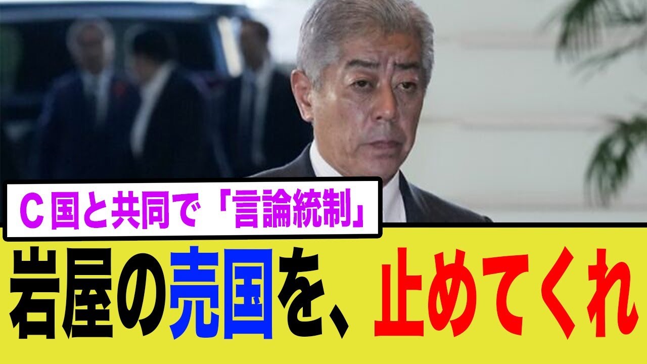 【悲報】岩屋外務大臣がまた日本を安売りする。