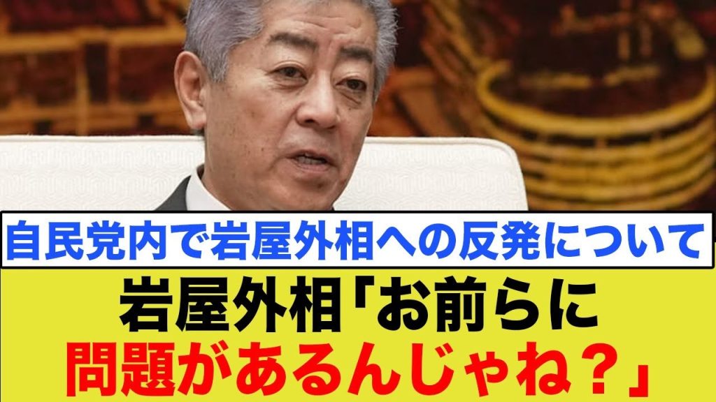 岩屋外相「誤解じゃなくてお前らの問題」発言に自民党激怒